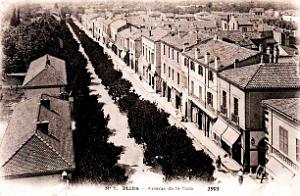 Blida - Avenue de la Gare - 1903